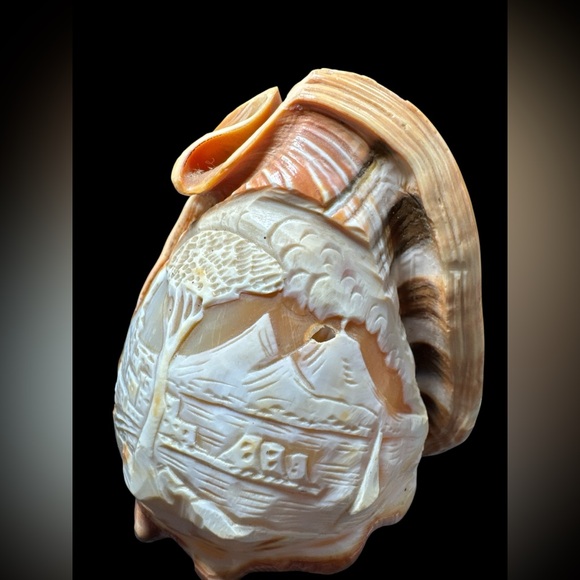 Vintage Asian Landscape Carved Cameo Conch Shell On Wooden Base Stand 6.5” - Picture 2 of 8